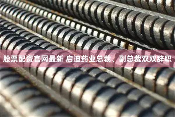 股票配资官网最新 启迪药业总裁、副总裁双双辞职
