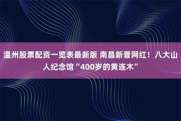 温州股票配资一览表最新版 南昌新晋网红!八大山人纪念馆“400岁的黄连木”