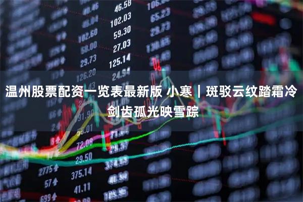 温州股票配资一览表最新版 小寒｜斑驳云纹踏霜冷 剑齿孤光映雪踪