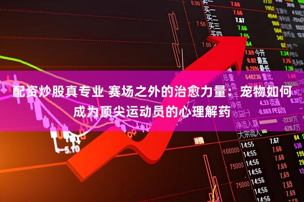 配资炒股真专业 赛场之外的治愈力量：宠物如何成为顶尖运动员的心理解药